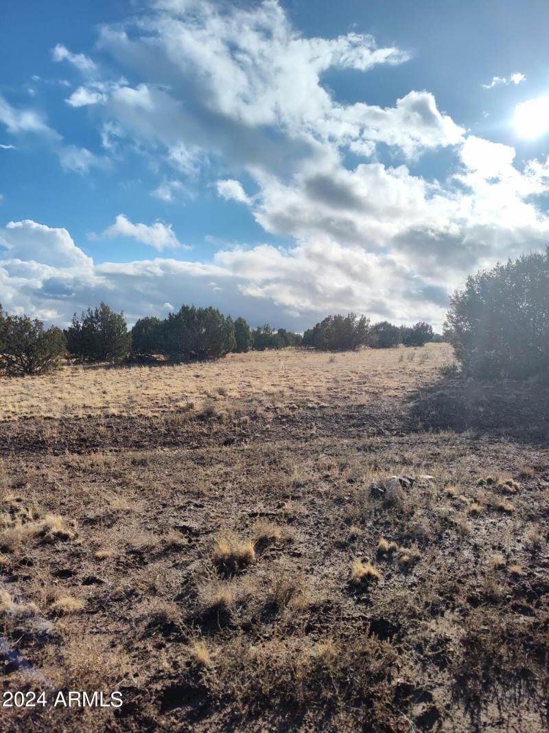 IMG_20240125_154014519_HDR