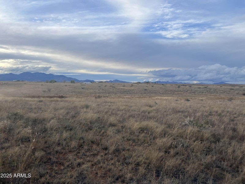 Photo Nov 19 2025, 4 25 42 PM