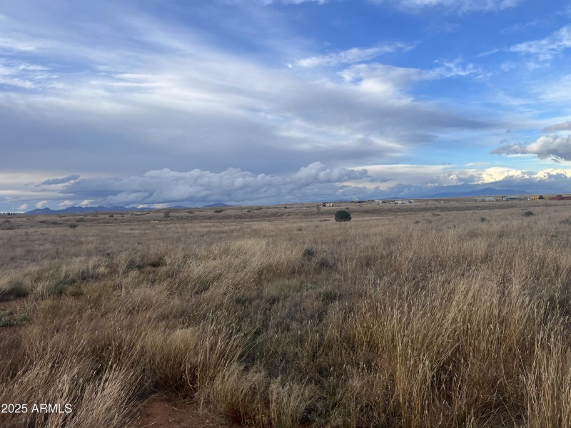 Photo Nov 19 2025, 4 23 26 PM