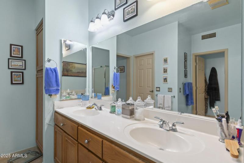 Master dual vanities