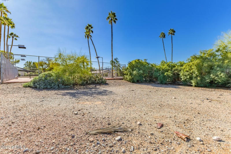 Common Area Behind the Home