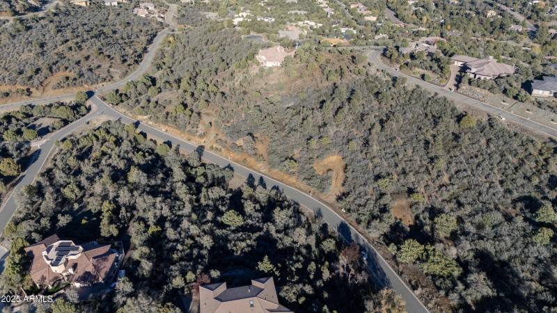 Lush Growth on the Property, Aerial 4