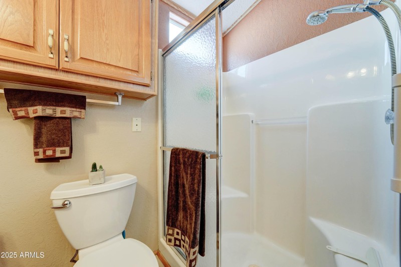 Step in Shower in main bath