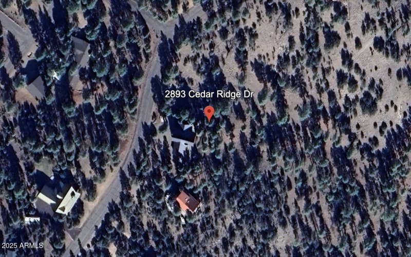 Screen Shot 2025-11-30 at 3.50.03 PM