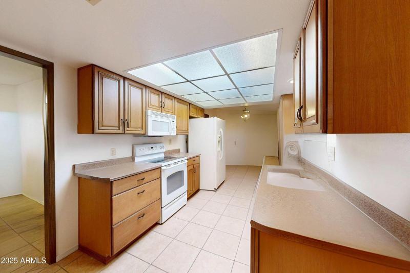 10361-W-Campana-Dr-Sun-City-Arizona-8535