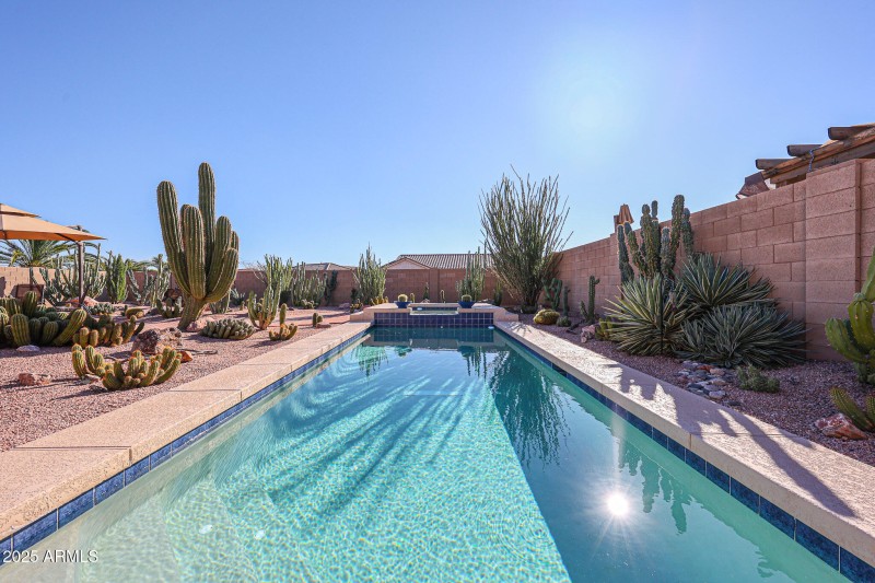 This is a PARADISE Back yard