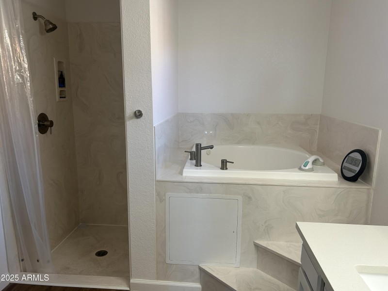 Primary Bath Separate step in Shower