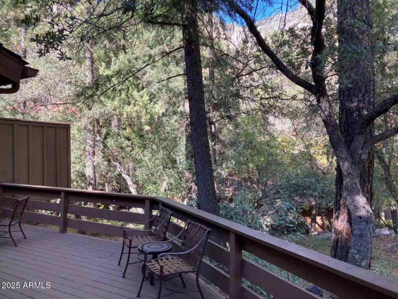 Back Patio Decking area