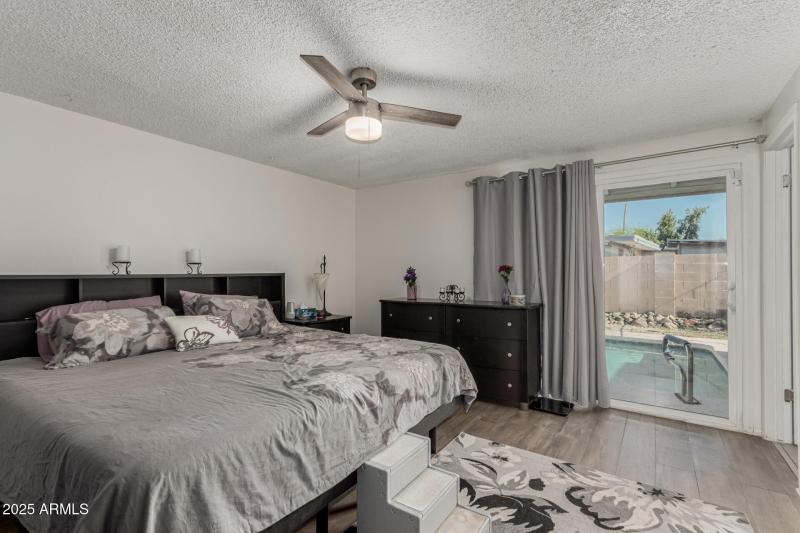 20 - Royal Palm 3836