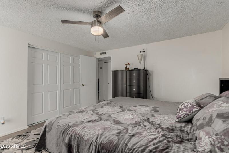 21 - Royal Palm 3836