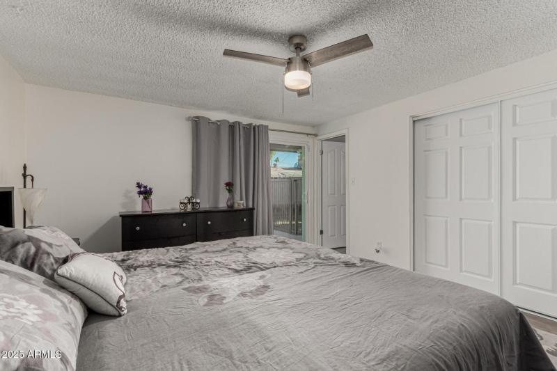 22 - Royal Palm 3836