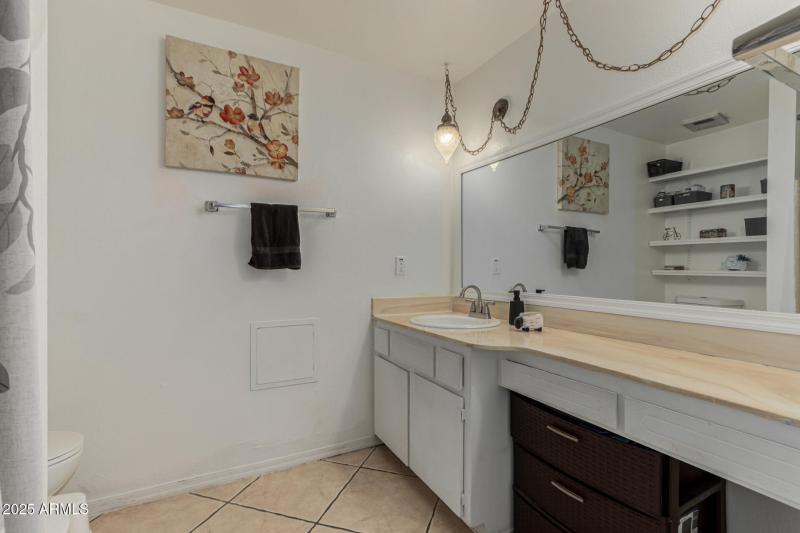 23 - Royal Palm 3836