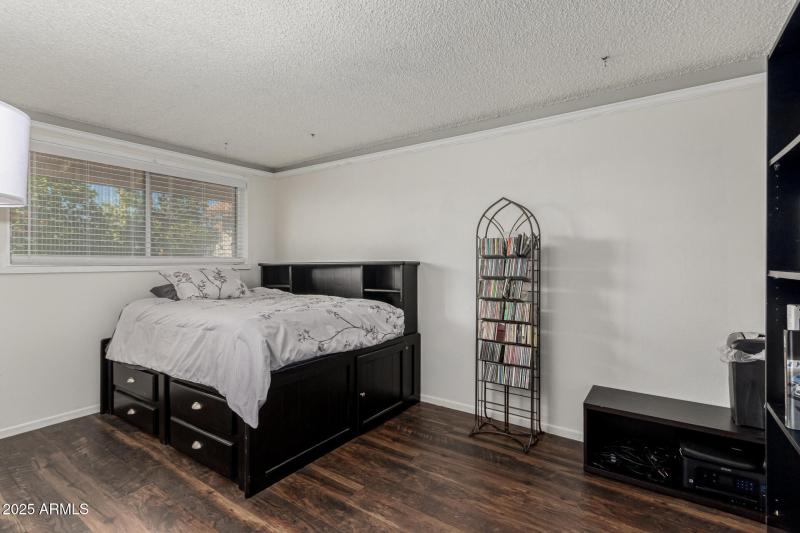 25 - Royal Palm 3836