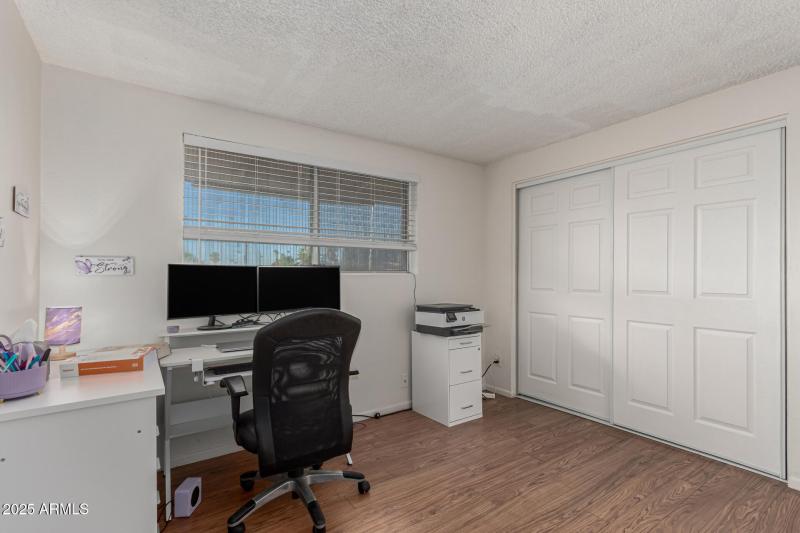 29 - Royal Palm 3836