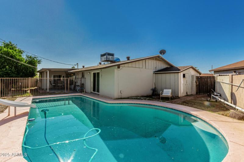 35 - Royal Palm 3836