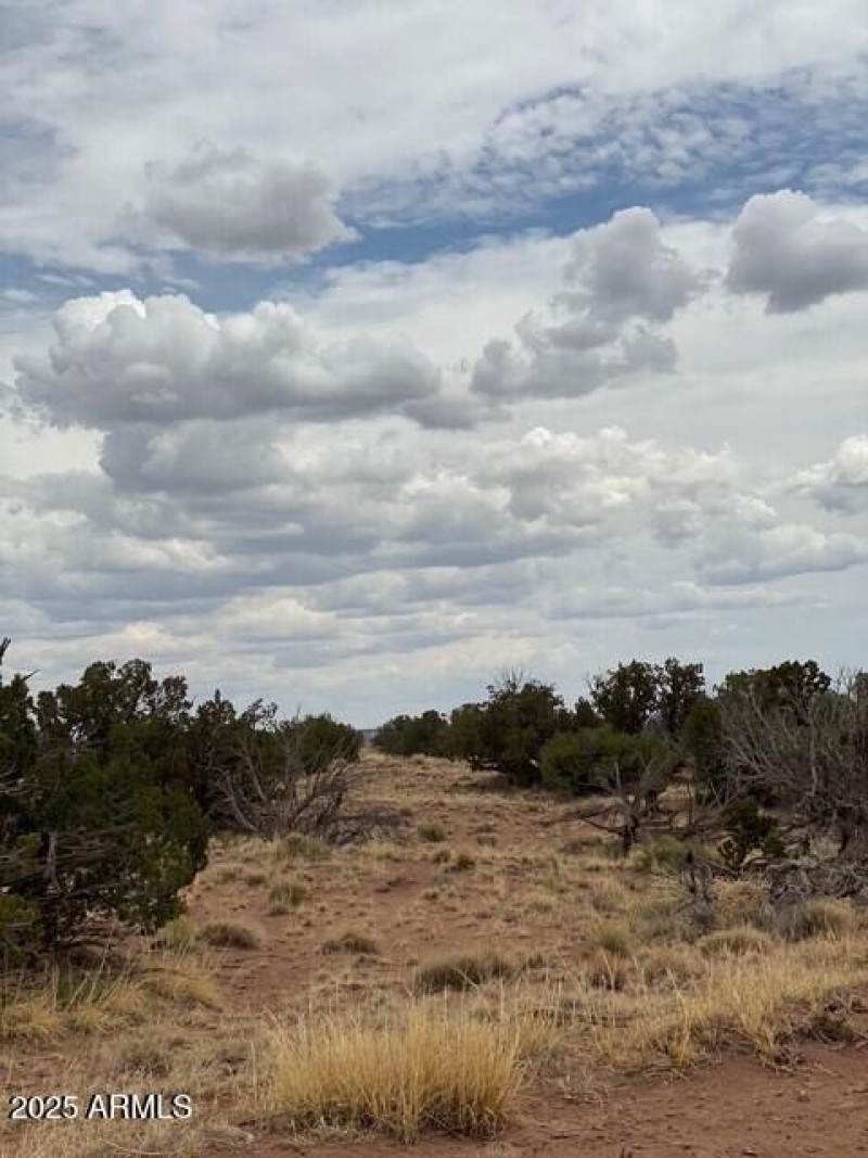 30111111111111111111111