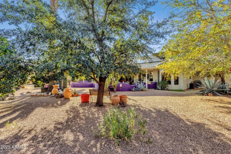 Low Maintenance Backyard