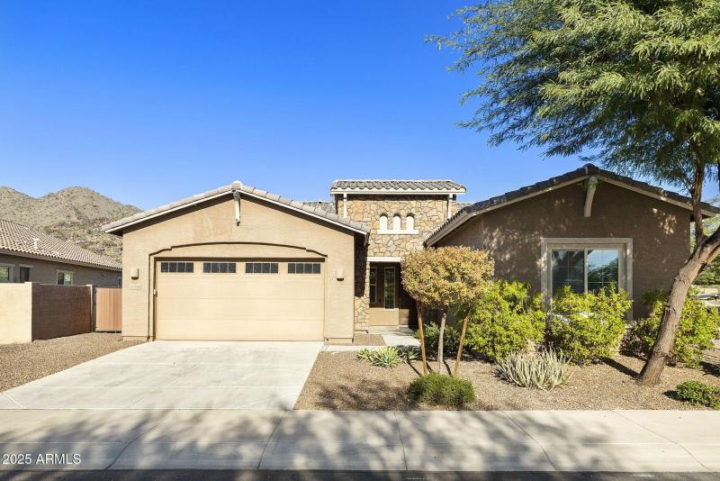 Mature font yard landscape