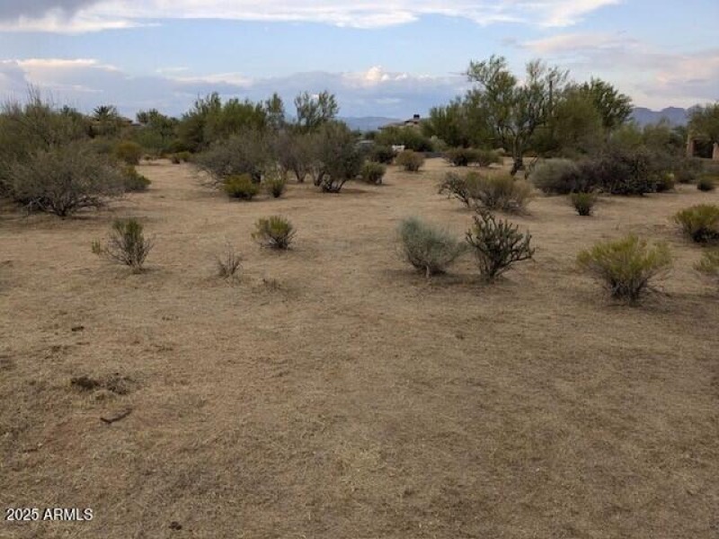 Well Maintained Desert Landscape