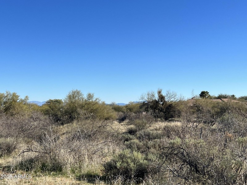 Peaceful Quiet Desert