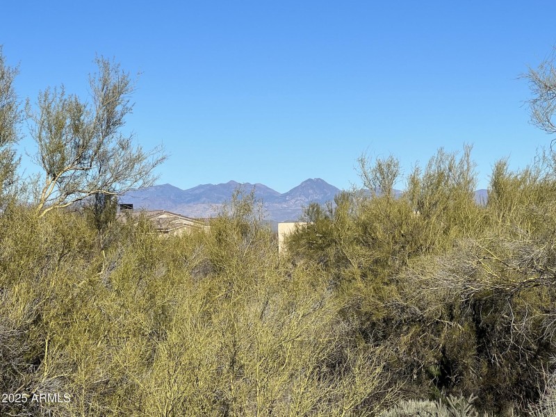 Lush Desert w Mountain Views