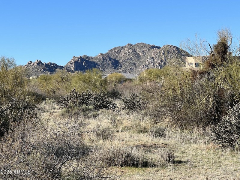 Desert Lifestyle Living