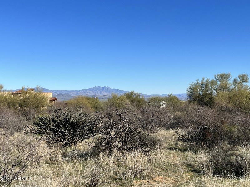 View of the Four Peaks
