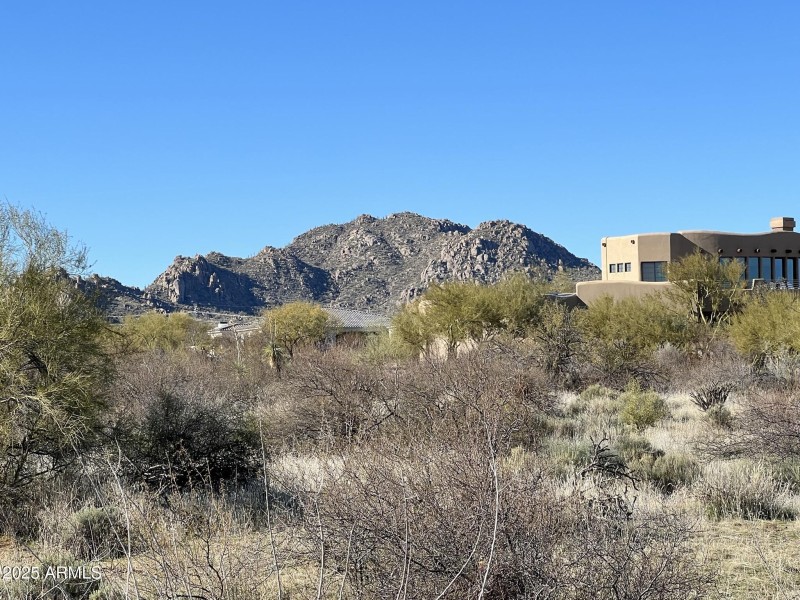 Desert Lifestyle Living