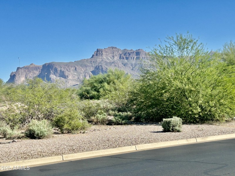 49) 64561-68fd03c5be5ce