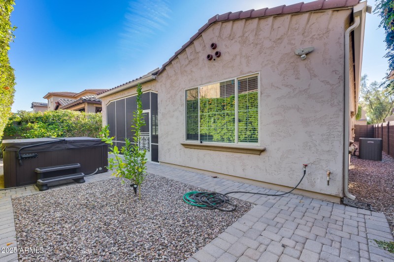 Backyard / Back of Home