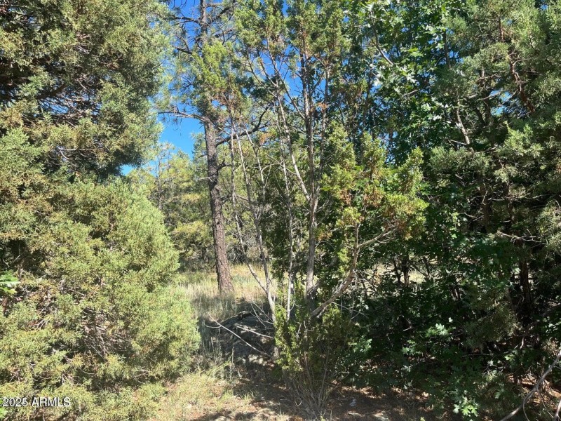 20240815233201095592000000-o