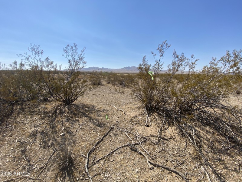 Gateway Acres Auction