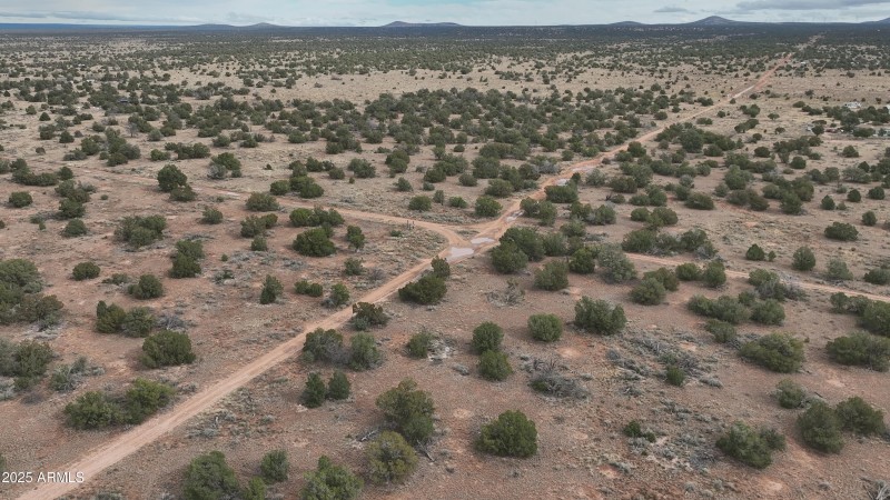 DJI_20251122120408_0017_V