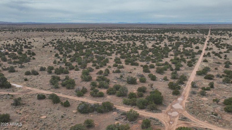 DJI_20251122120323_0008_V