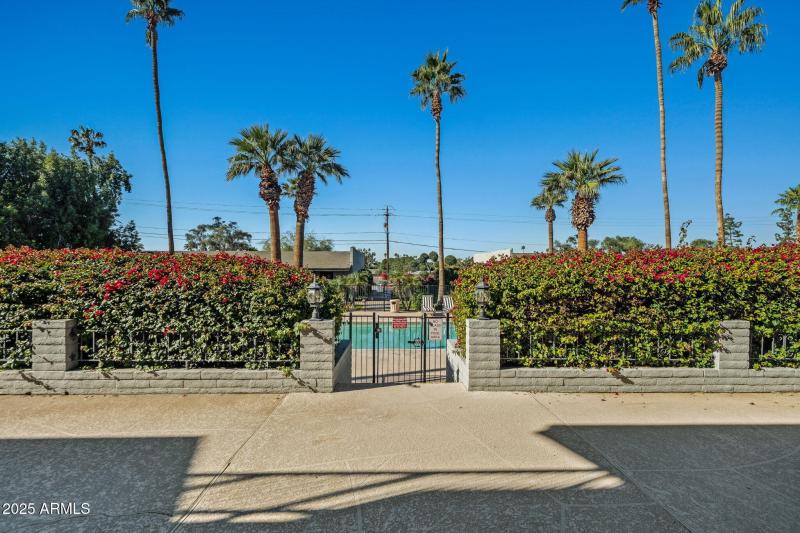 43-web-or-mls-Done-3