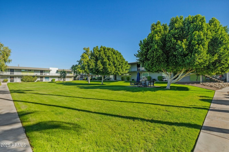 53-web-or-mls-Done-6