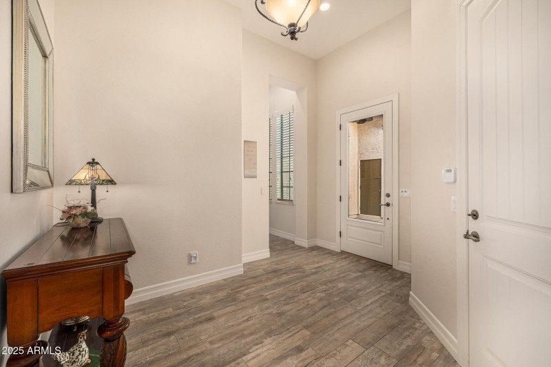 Foyer - wood like tile flooring
