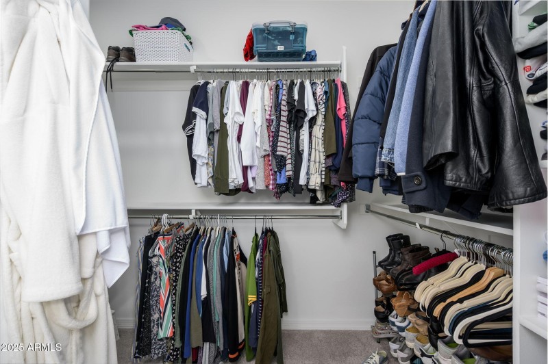 17-web-or-mls-81st-8