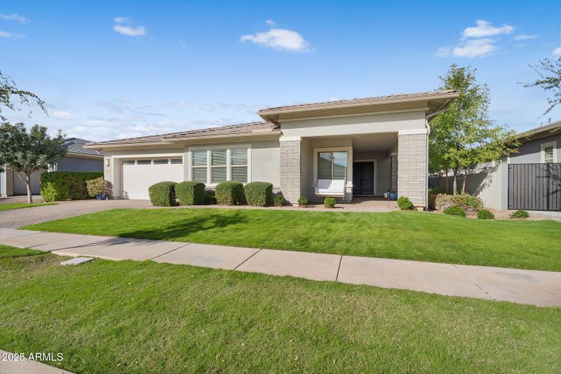 6-web-or-mls-Arabian-2