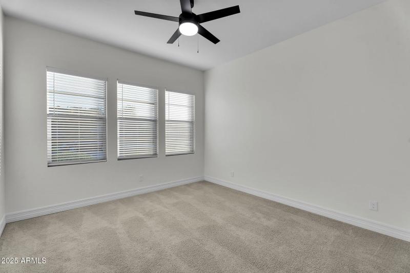 46-web-or-mls-Arabian-40