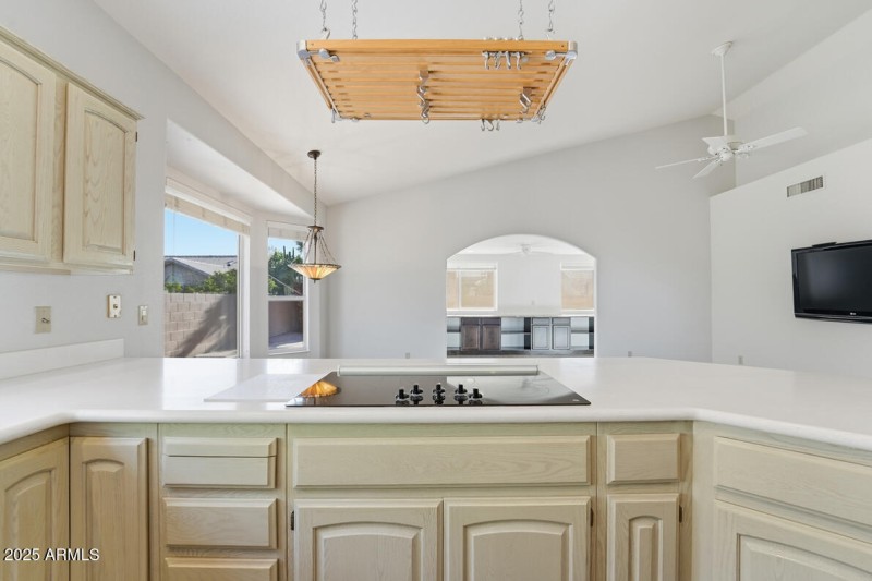 10545 E Halley Dr, Sun Lakes-29