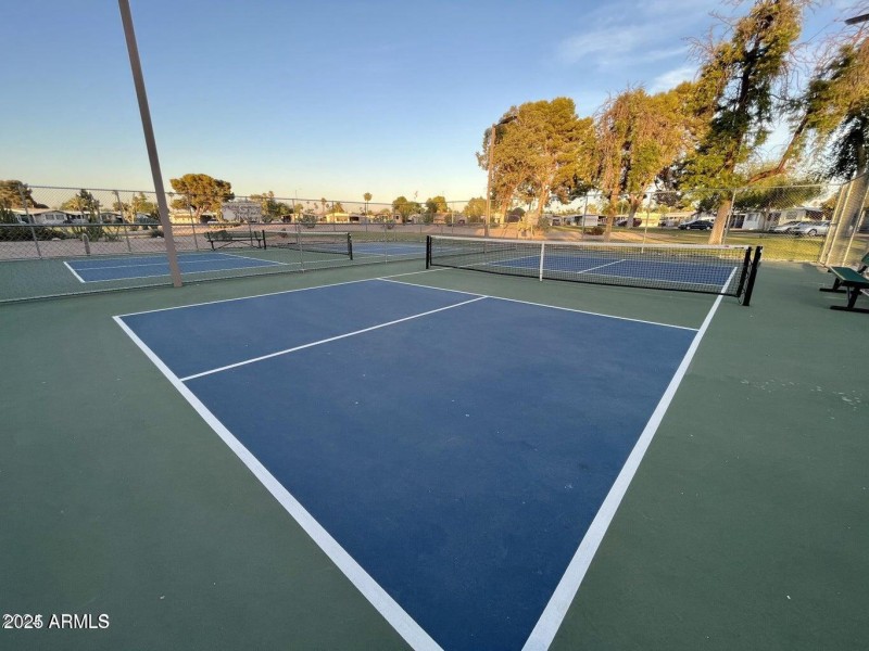 55+ Let's play pickleball!