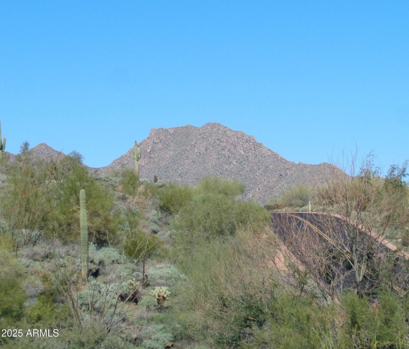McDowell Mountains