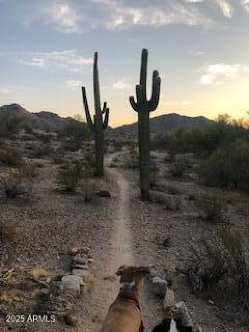 Extensive hiking trails