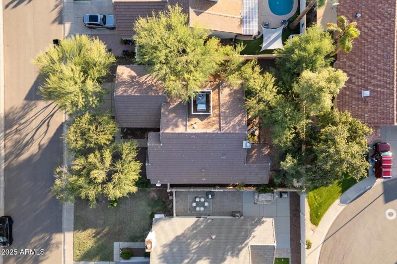 Mature Greenery & Ultimate Privacy