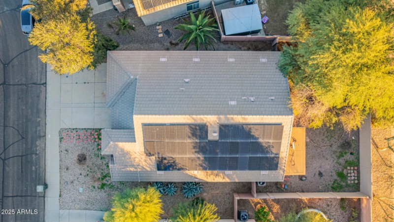 07 - Cardinals Drone