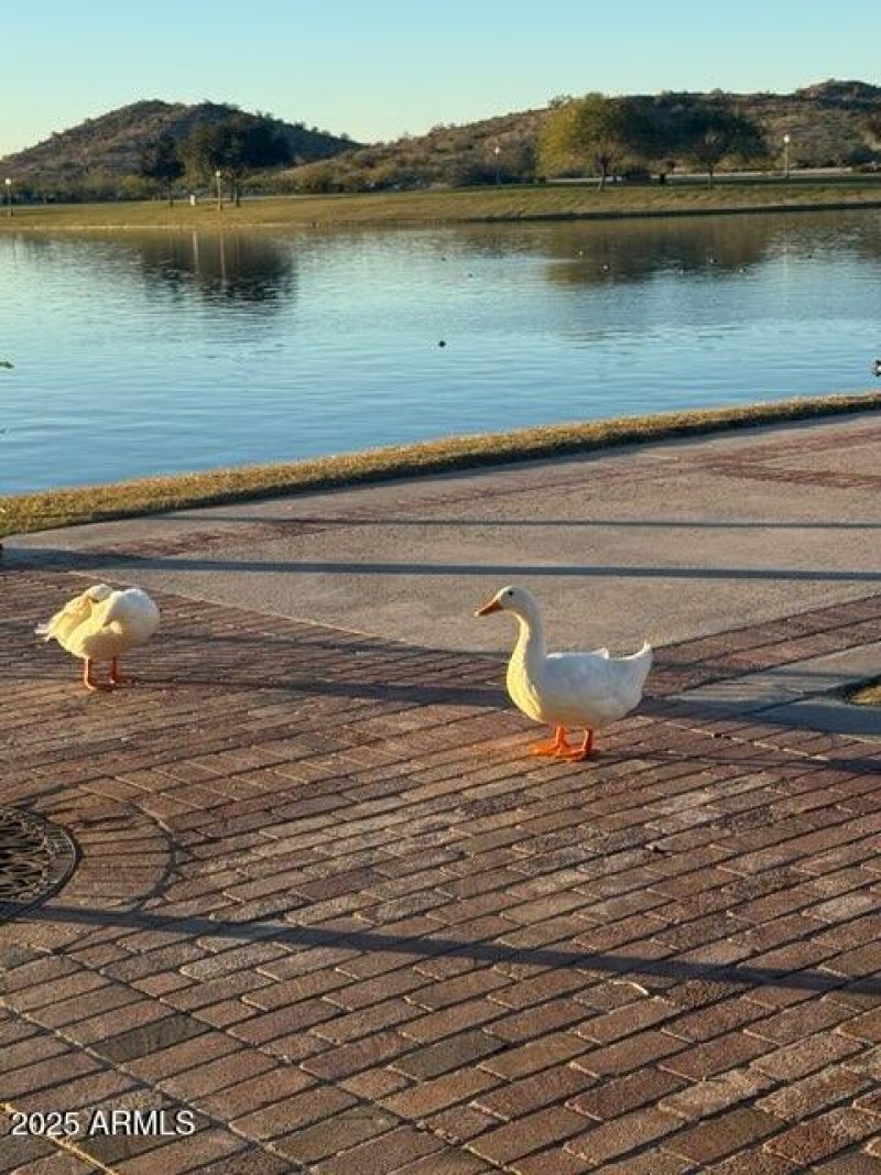 Neighborhood friends