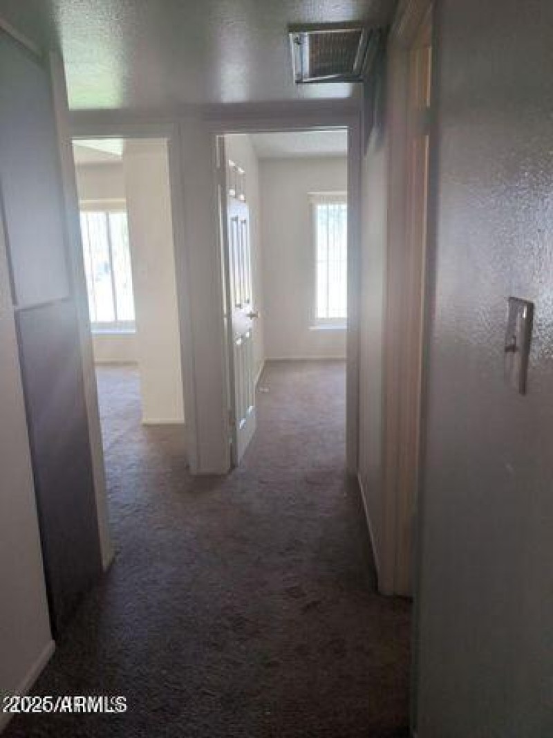 20241029040527727114000000-o