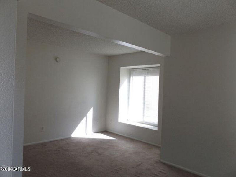 20241029040534717136000000-o