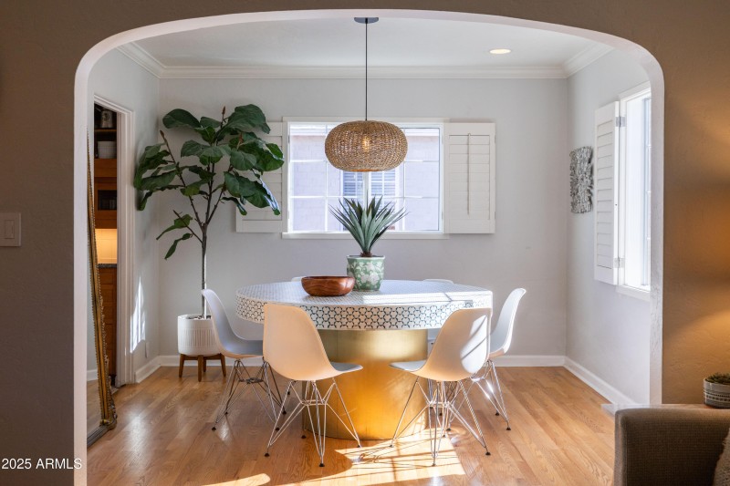 Beautiful Natural Light